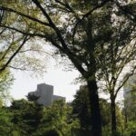 Nature-based Jobs, Untapped Sector for NYC’s Climate and Economy: Report